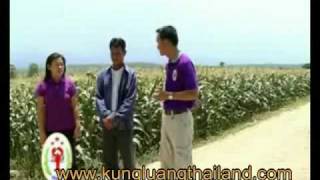 corn1_1.avi