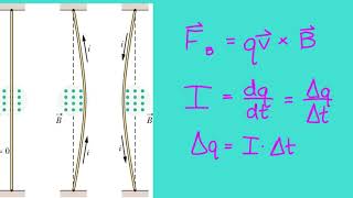 Magnetic Force on a Current-Carrying Wire