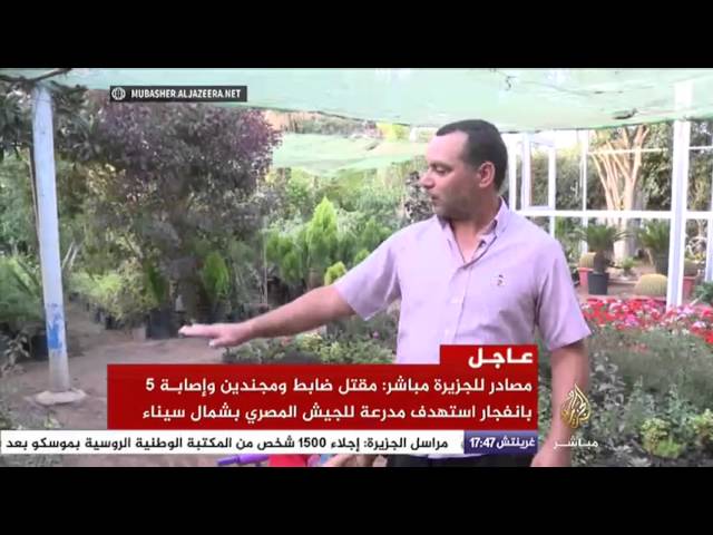 حكاية من المغرب ..المشاتل..تجارة رائجة تصدر منتجاتها للخارج
