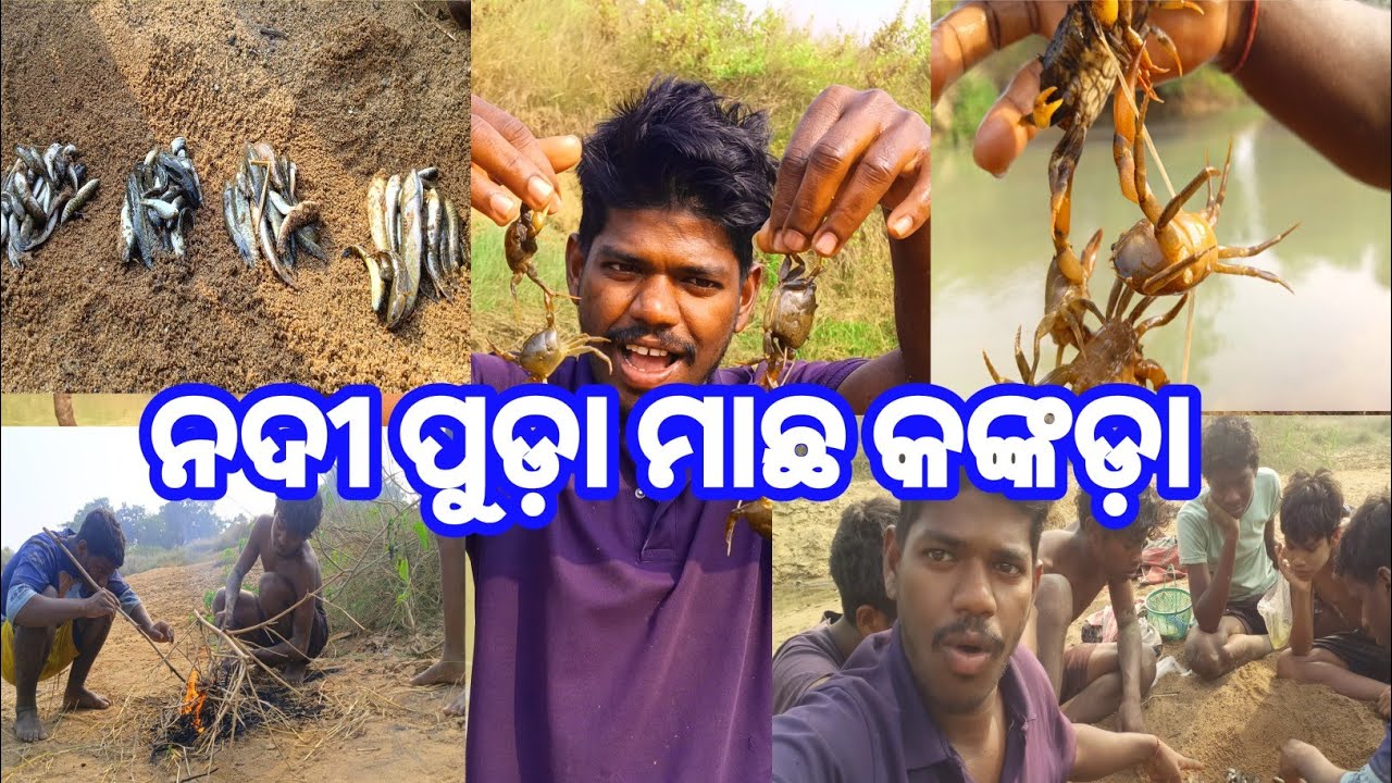 [MISSION ଦେଶୀ ମାଛ ଧରିବା ]  ଆଜି ଆମେ ଦେଶୀ ମାଛ, କଙ୍କଡ଼ା, ଗେଣ୍ଡା ପଡ଼ି ଖାଇବା | 🐬🦀🐌 