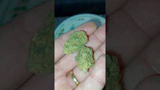 Tweedle Farms Diamond Kush indoor CBD hemp flower (is it good?) @TweedleFarms