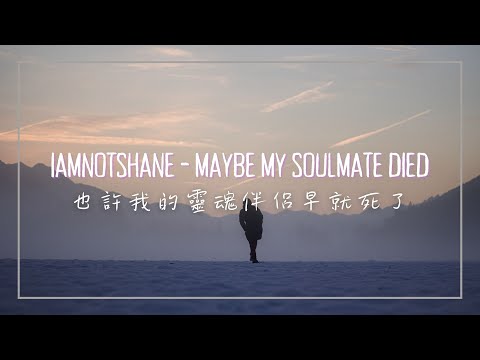 也許我的靈魂伴侶早就死了 / iamnotshane - Maybe My Soulmate Died 中英歌詞