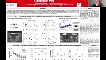 Long term touchscreen testing acts as a cognitive enhancer in mice