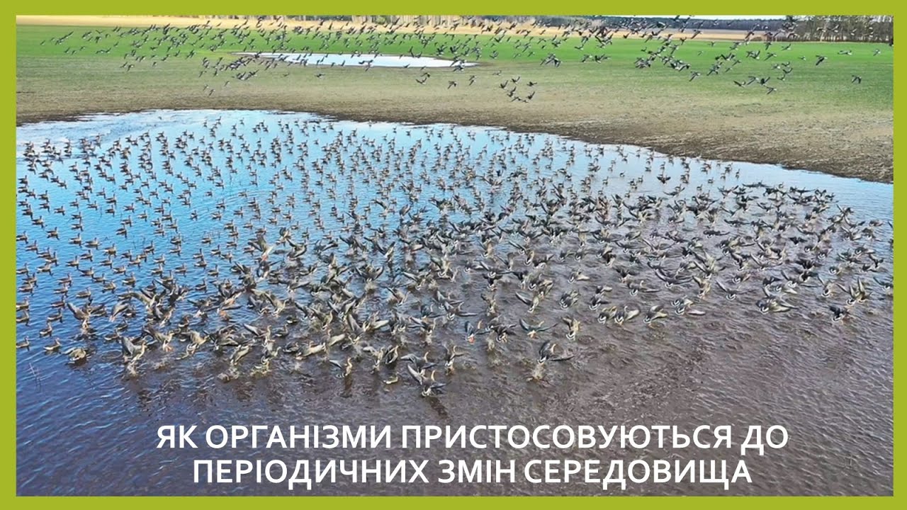 Пізнаємо природу 6 кл №59