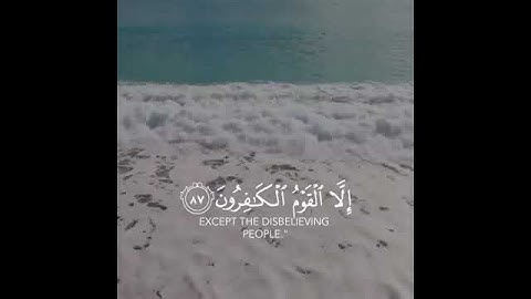 ( وَلَا تَيْأَسُوا مِن رَّوْحِ اللَّهِ ) الشيخ خالد الجليل سورة يوسف - الآية 87