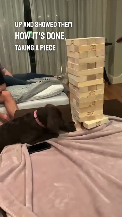 Torremoto - Torre Legal - Jenga -54 Peças Em Madeira caiu perdeu - Alex  Brinquedos