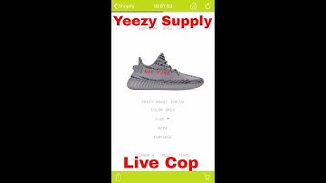 Yeezy Supply Live Cop!!
