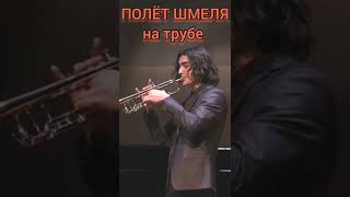 🎺Полёт шмеля на трубе🎺Ссылка на полное видео в комментариях ⬇️ #music #trumpet #classicalmusic
