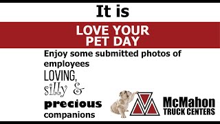 LOVE YOUR PET DAY