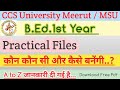 B.Ed.1st Year Practical Files CCSU/ MSU