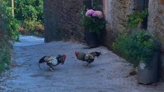 RIOJA - GALICIA