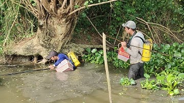 cặp đôi xiệt cá mùa lúa chín được nhiều cá lóc cá trê thấy ham quá 