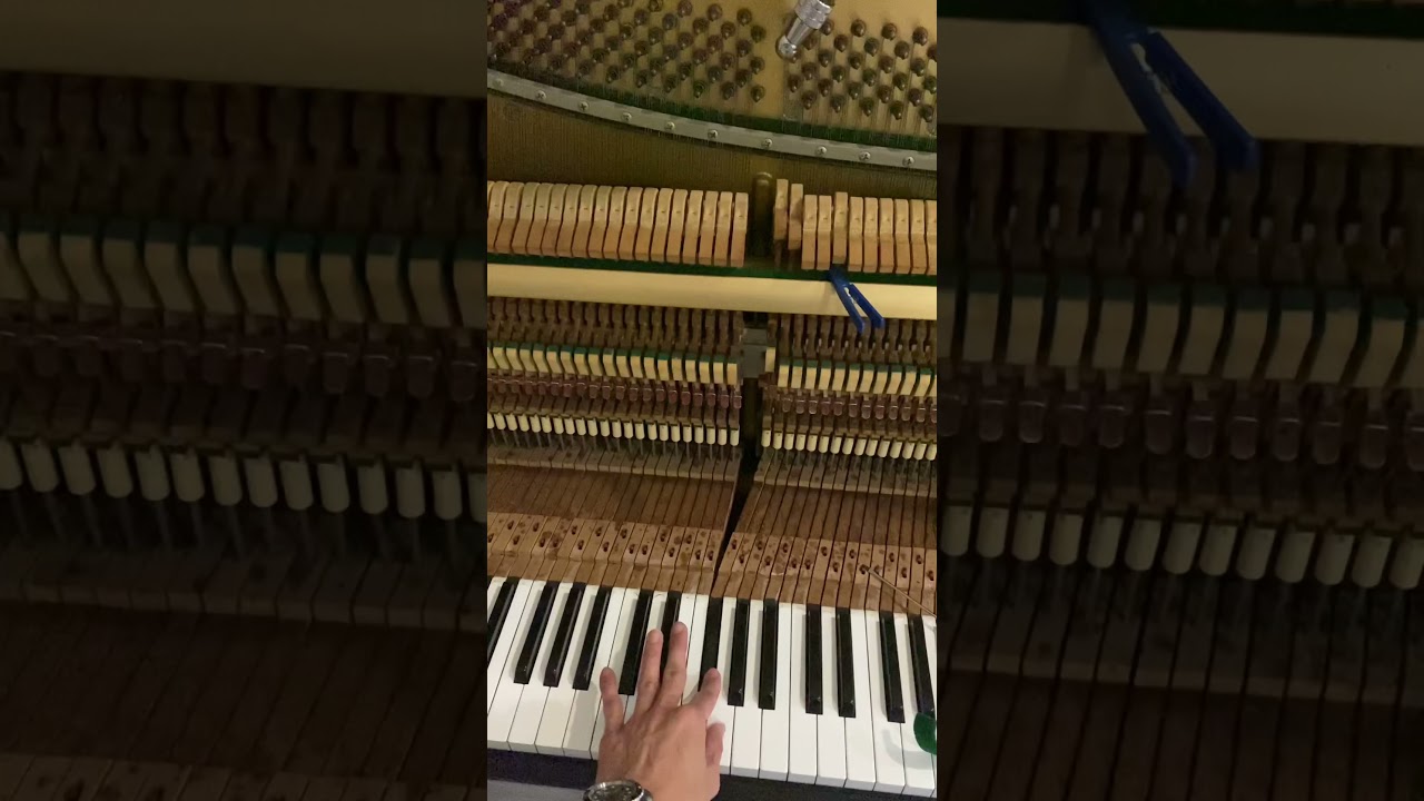 Смотреть «Contoh Out of tune below 1 semitone» на YouTube Смотреть «Contoh Out of tune below 1 semitone» на YouTube