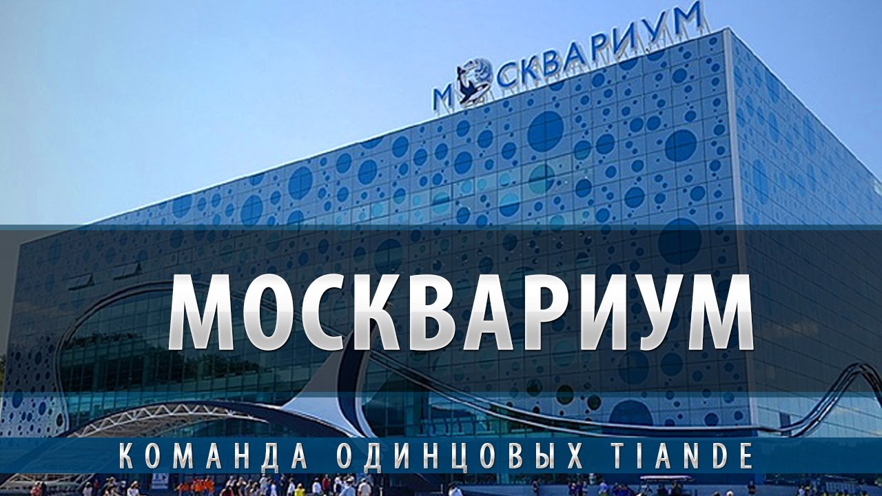 Москвариум - YouTube