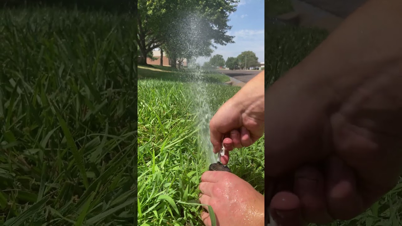 Sprinkler System Services