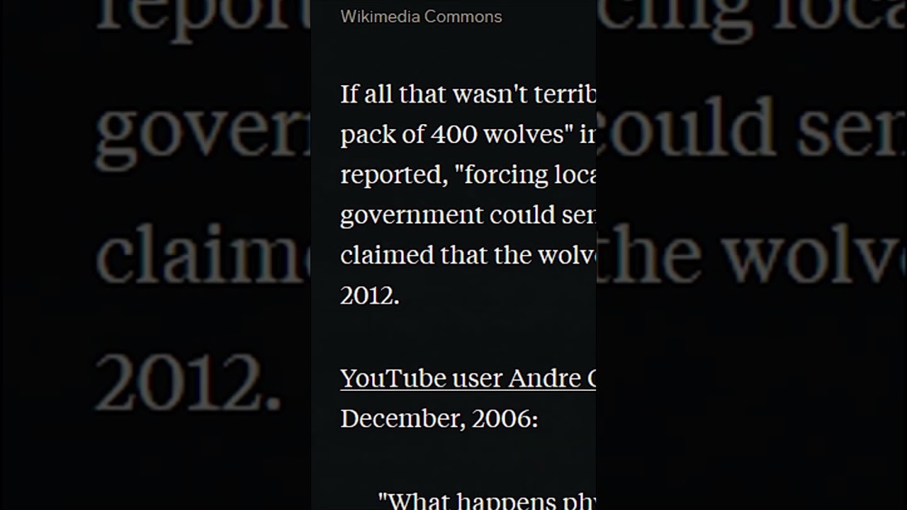 The City Attacked By A Super Pack Of Wolves 