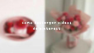 como descargar vídeos de pinterest ᐢ.  ̫.ᐢ screenshot 5