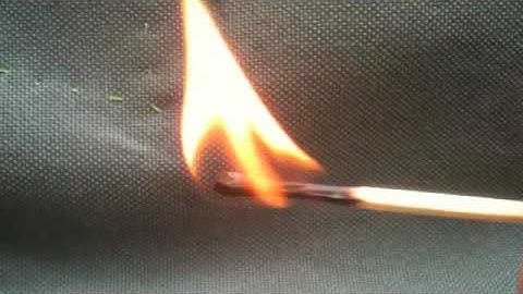 The Phosphorus Cycle