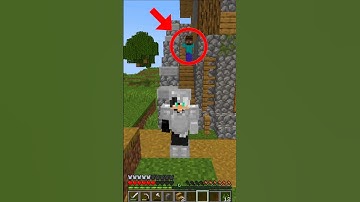 I Found Herobrine In My Minecraft World 😱 #shorts