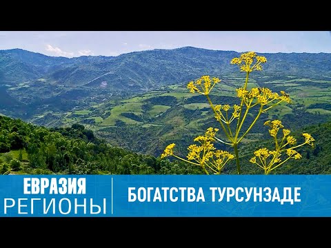 Богатства таджикского города Турсунзаде