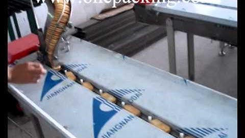 KT-250 biscuit packing machine,horizontal flow wrapper,flow wrap machine