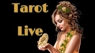 Tarot live! $5