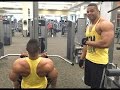 Back & Biceps Workout to Gain Muscle Mass @hodgetwins