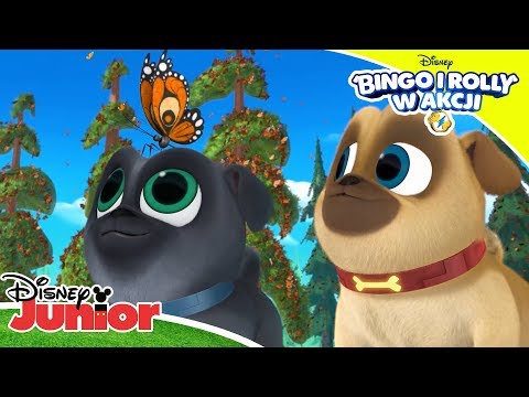 ? Mopsiakowe przygody | Bingo i Rolly w akcji | Disney Junior Polska