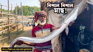 Download Lagu দুবলার জালে বিশাল মাছ | সিজন ৩৪ | পর্ব ২০ |  সুন্দরবন | Belayet Sarder | Mohsin ul Hakim MP3