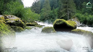 سورة البلد - القارئ : عبدالعزيز بن سالم الزهراني