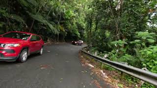 Downhill El Yunque Rain Forest National Park, Río Grande, Puerto Rico 🇵🇷