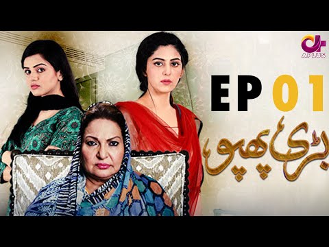 Bari Phuppo - EP 1 | Aplus| Hassan Somroo, Sangeeta Faria | Pakistani Drama | C3D1