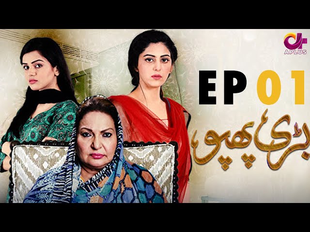 Bari Phuppo - EP 1 | Aplus| Hassan Somroo, Sangeeta Faria | Pakistani Drama | C3D1 class=