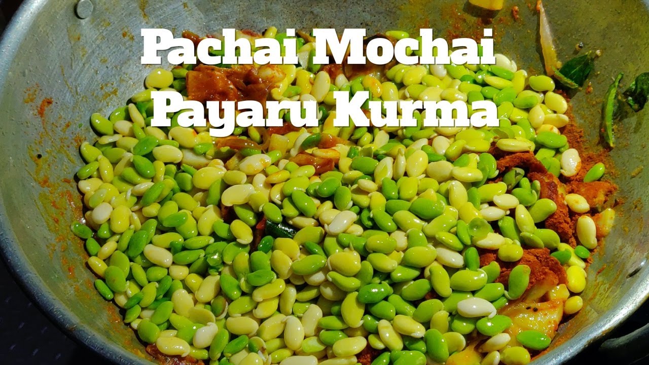 Primitive Technology - Pachai Mochai Beans Kurma!!!! Pachai Mochai Beans Kurma Recipe!! | Dakshin Food  - Tamil