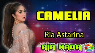 Camelia Dangdut Koplo – Ria Nada Musik Bekasi Live Terbaru | Awalliah Creativision 4K