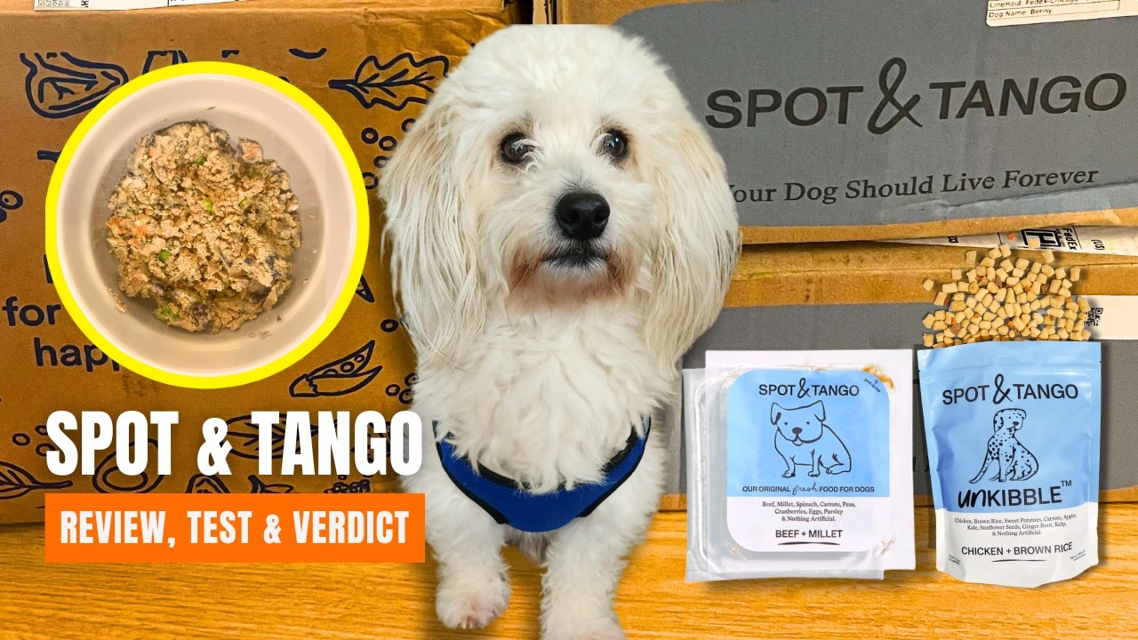 Spot and Tango Dog Food Review: Unboxing, Test & Should You Buy It?