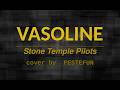 VASOLINE (Stone Temple Pilots) - Live Cover | PESTEFUN