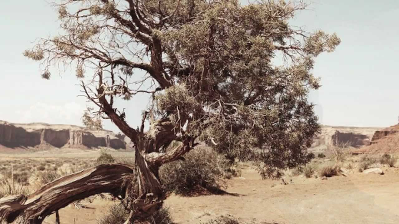 Watch Eric Tingstad - Badlands on YouTube Watch Eric Tingstad - Badlands on YouTube