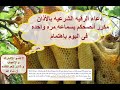 الأذان مكرر بصوت محمد رشاد طاهر مفيد لحالات المس والعين والحسد والسحر