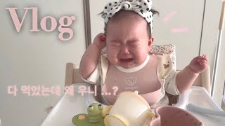 10) Vlogㅣ육아브이로그ㅣ6개월아기ㅣ초기이유식성공ㅣ이유식부족ㅣ빨대컵성공?ㅣ풀무원정성한상ㅣ내돈내산ㅣ언박싱ㅣ카라반피크닉