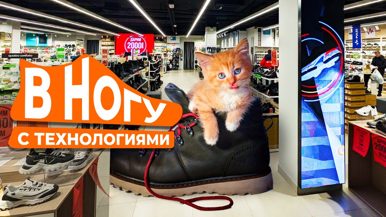 HD LED TECH | Как привлечь посетителей indoor-экранами