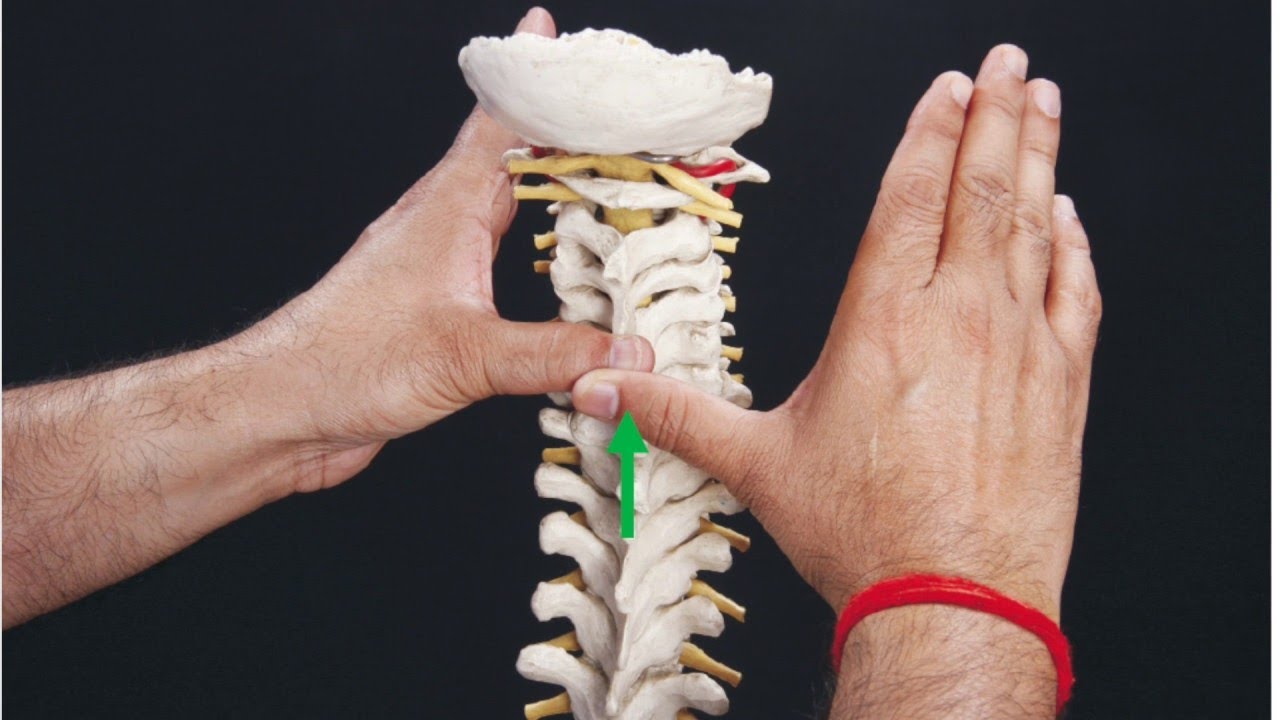 Mulligan Neck Rotation SNAG Mulligan || Technique || URDU || CMT - YouTube