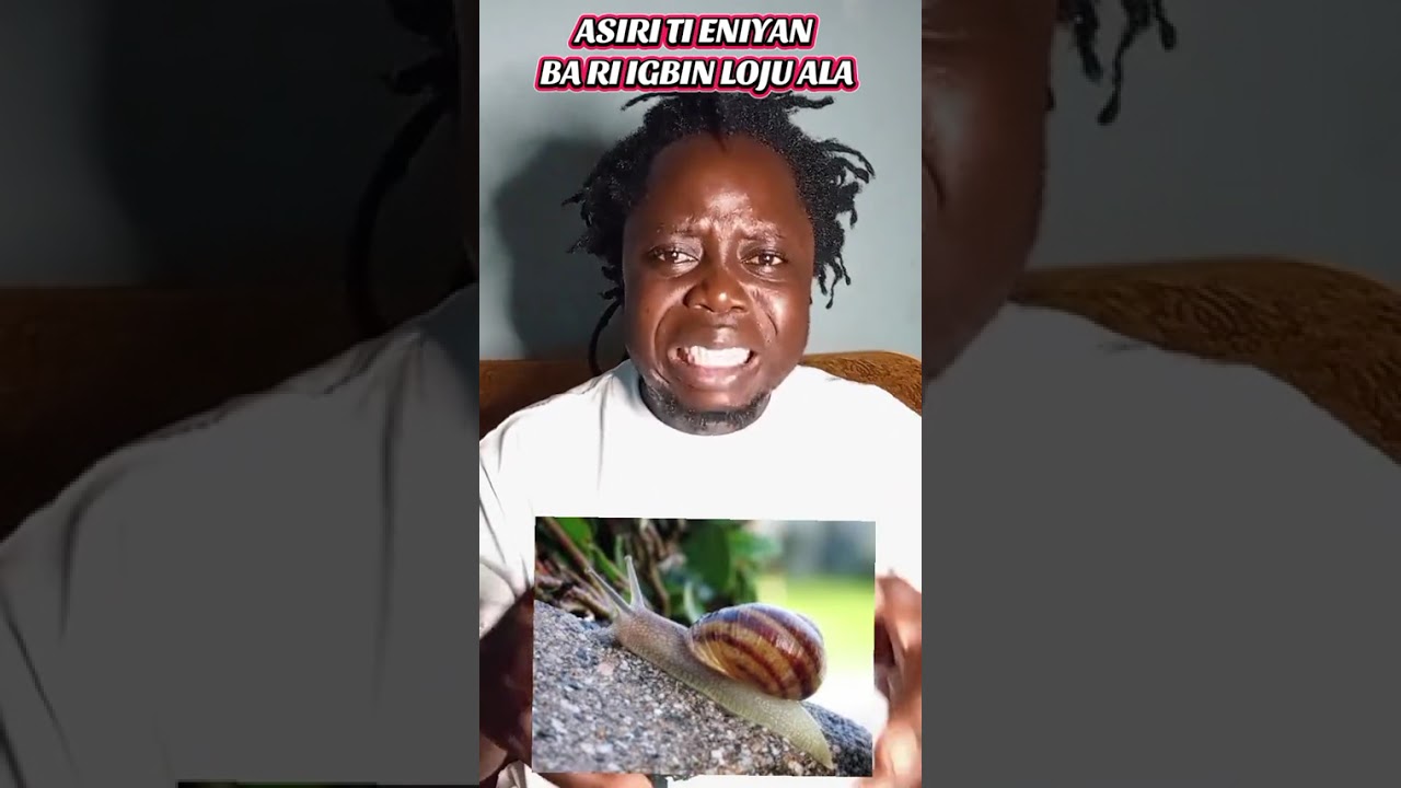 ASIRI ATI ITUMO BI ENIYAN BA RI IGBIN LOJU ALA. 