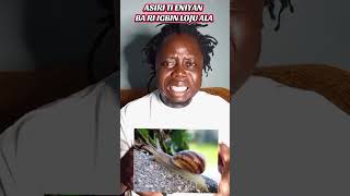 Asiri Ati Itumo Bi Eniyan Ba Ri Igbin Loju Ala.