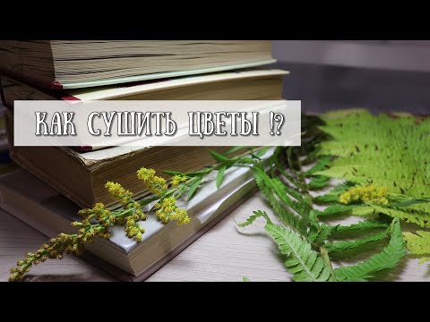 Как засушить цветы !?КАК СДЕЛАТЬ  ГЕРБАРИЙ!?ГДЕ ВЗЯТЬ СУХОЦВЕТЫ!?