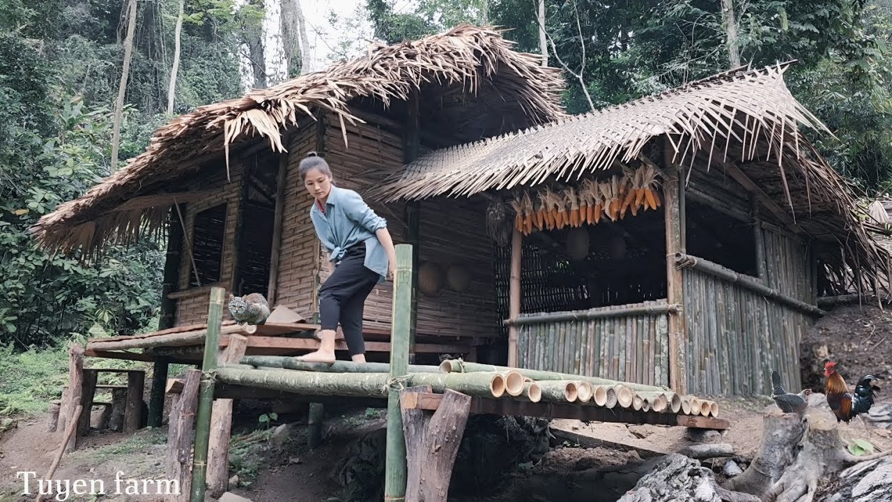 Девушка Живёт Одна Глубоко в Лесу — Как Она Построила Свой Off-Grid Дом Мечты с Нуля