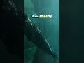 Seals dancing underwater! 🌊