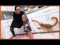 DANGER IN THE KITCHEN! | Sam & Nia