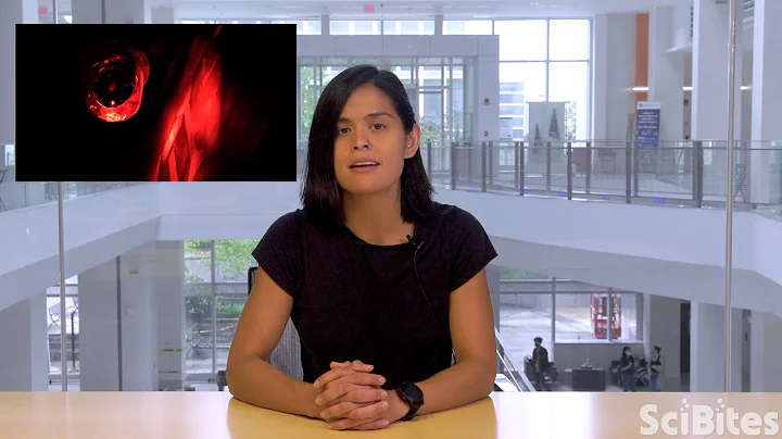 NIH SciBites: A Deep Dive Into the Brains Alert Sy...