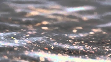 Beachfront B Roll  Shoreline Close Up Free to Use HD Stock Video Footage